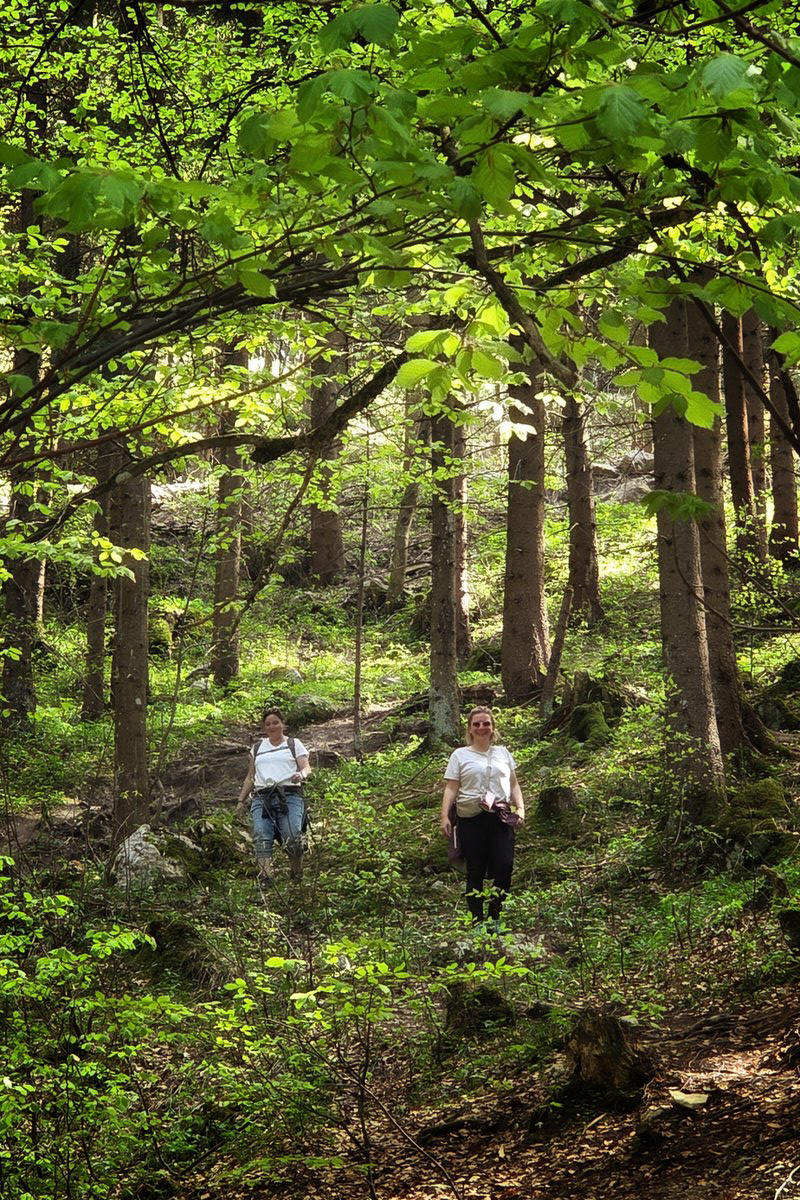 Wanderung Rohrkopfh�tte in Schwangau mit Sandra Bischof und Mathias Starzer - Wandergruppe im Tal